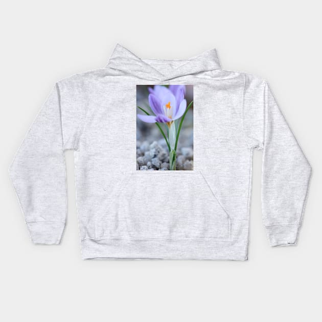 Crocus laevigatus  &#39;Fontenayi&#39; Kids Hoodie by chrisburrows